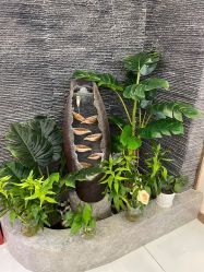 -芳朵美容养生SPA