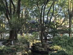 -上海醉白池公园