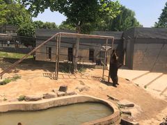 -宿豫区运河湾森林动物园