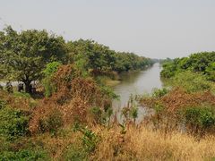 -大湾区中央湿地公园-十九涌
