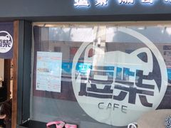 门面-逗柴咖啡屋·狗咖猫咖宠物桌游