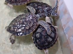 -常州海昌海洋探索馆
