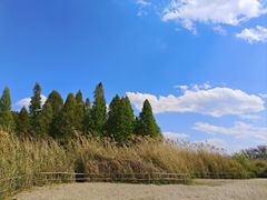 -捞渔河湿地公园