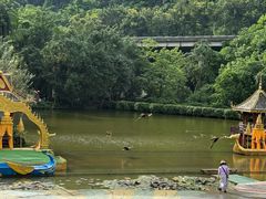 -西双版纳原始森林公园
