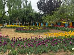 -石家庄市植物园