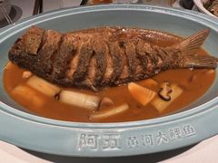 红烧黄河鲤鱼-阿五黄河大鲤鱼(英协路店)