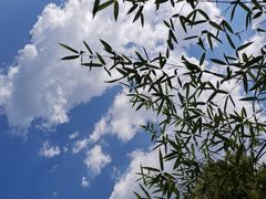 -燕子河大峡谷天坑仙境