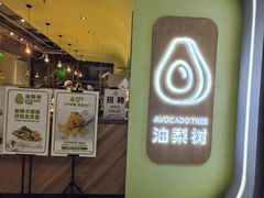 -油梨树AVOCADO TREE(望京店)