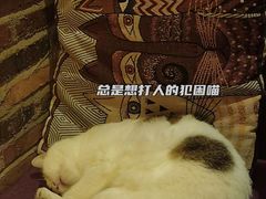 -城墙外BAR