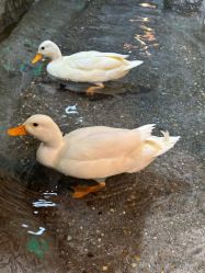 -Zoolung Zoolung动物主题公园(海信广场店)