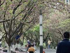 -苏州河梦清园环保主题公园