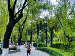 -西安市长乐公园