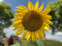 -光明小镇欢乐田园