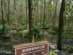 -合肥滨湖国家森林公园