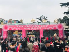 -昆明动物园
