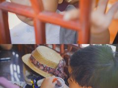 -老妈宫粽球