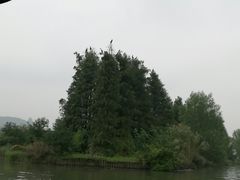 -东湖落雁景区