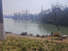 -南通濠河风景名胜区
