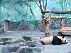 -秦皇岛野生动物园