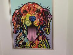 -宠物家(双井店)