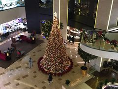 -皇朝尊会(龙之梦大酒店)