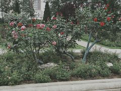 -宝鸡植物园