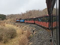 -济州森林小火车生态公园