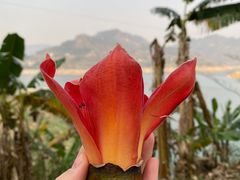 -万峰林风景区