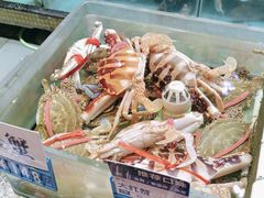 -强记海鲜·大排档(蛇口新街店)