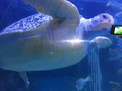 -北海·海洋之窗