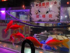 -粗粮人家·东北菜(洋桥店)