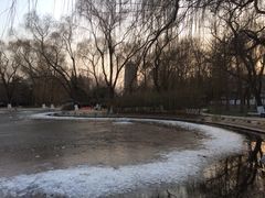 iphone_upload_pic-玲珑塔公园