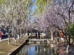 -三里河公园