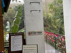 -西双版纳原始森林公园