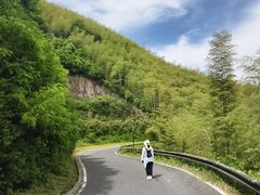 -莫干山风景区