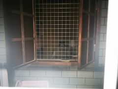 -Xcape异时刻密室逃脱真人NPC(新世界百货崇文店)