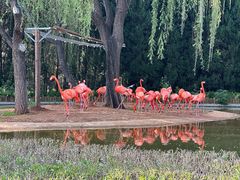 -石家庄市动物园