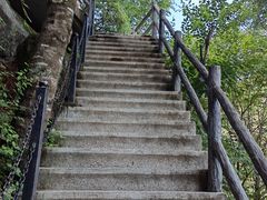 -王顺山国家森林公园