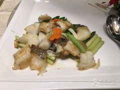-百香自助餐厅·西安唐隆国际酒店(曲江店)
