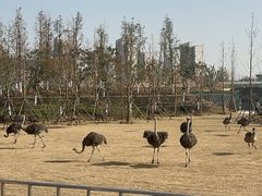 -宿豫区运河湾森林动物园