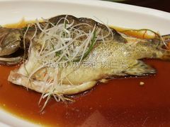 清蒸桂鱼-渔堂公园餐厅·本帮菜(乐园路店)