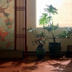 -Just Yoga 瑜伽·阿育吠陀
