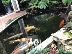 -Fern Forest Cafe