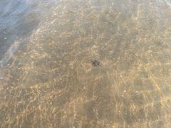 -青岛银沙滩