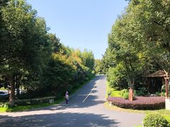 -天目湖涵田度假村
