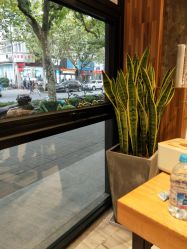 -PE SALON
