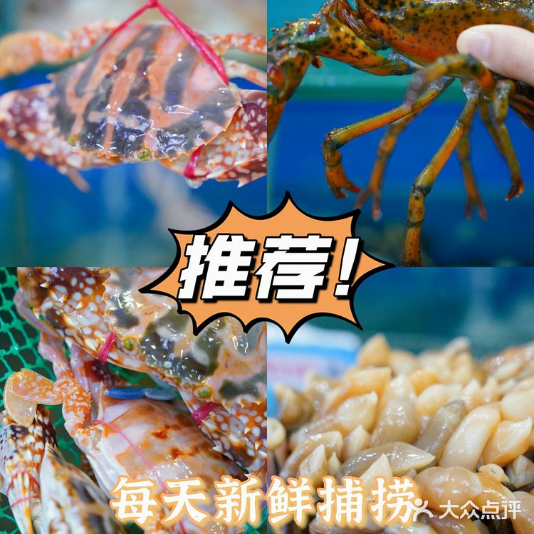 🏞三亚美食探店|小胡子海鲜连锁店|本地人推荐