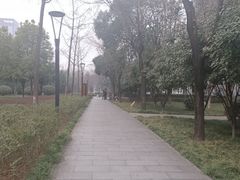 -唐城墙遗址公园