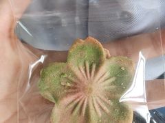 -西安外国语大学(长安校区)