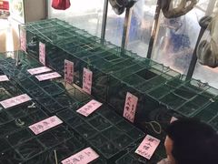 -荔城生鲜盛宴(番禺旗舰店)